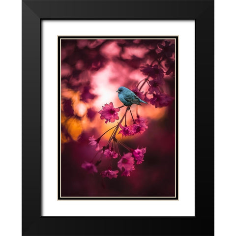 Cherry Blossoms Black Modern Wood Framed Art Print with Double Matting by Love Grams