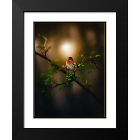 Into the Woods Black Modern Wood Framed Art Print with Double Matting by Love Grams