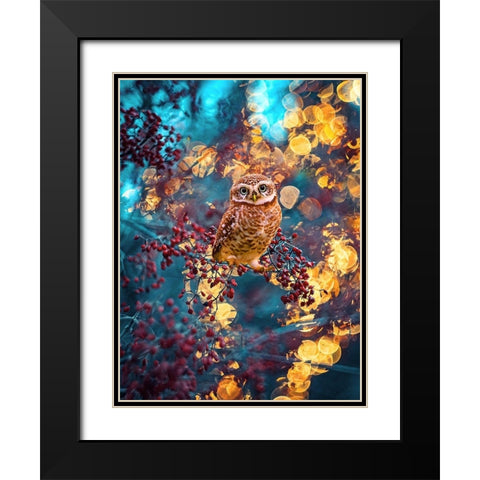 Owl Bokeh Black Modern Wood Framed Art Print with Double Matting by Love Grams