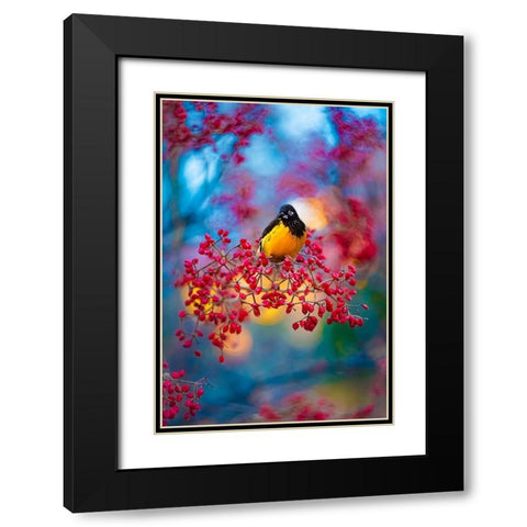 The Oriole Black Modern Wood Framed Art Print with Double Matting by Love Grams