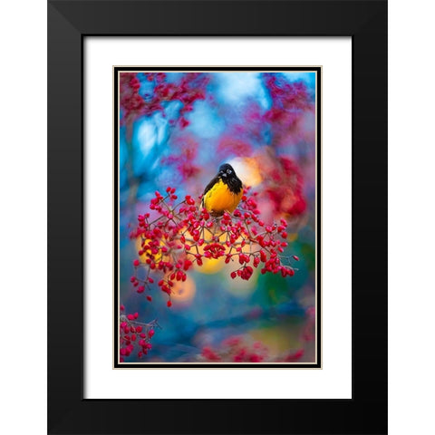 The Oriole Black Modern Wood Framed Art Print with Double Matting by Love Grams
