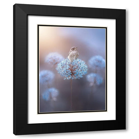 The Perch Black Modern Wood Framed Art Print with Double Matting by Love Grams