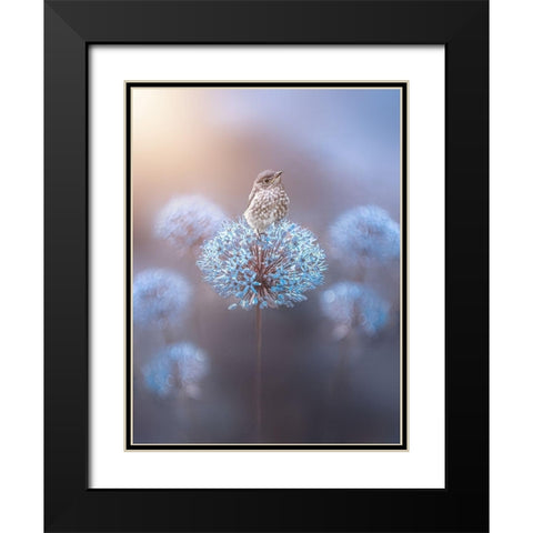 The Perch Black Modern Wood Framed Art Print with Double Matting by Love Grams