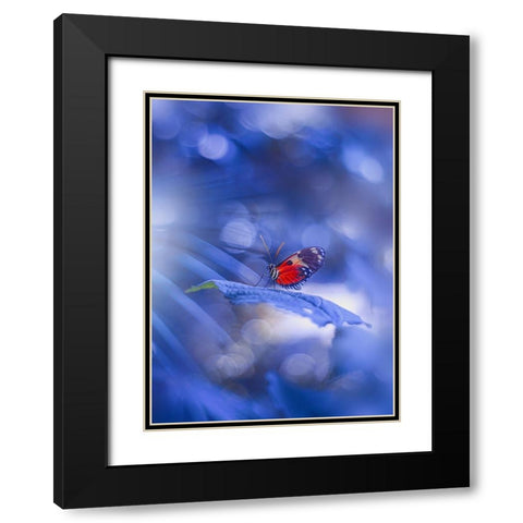 Blue Light Black Modern Wood Framed Art Print with Double Matting by Love Grams