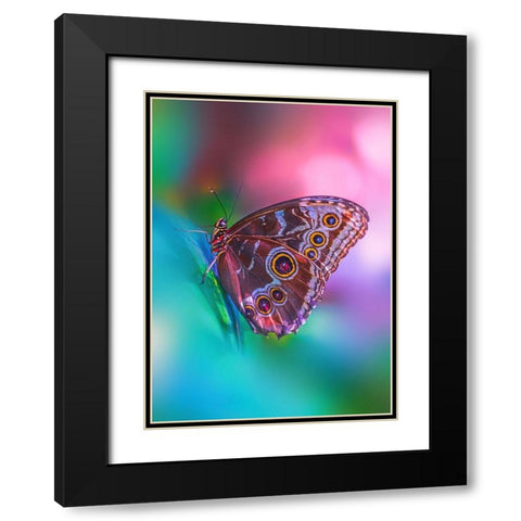 Hazy Butterfly Black Modern Wood Framed Art Print with Double Matting by Love Grams