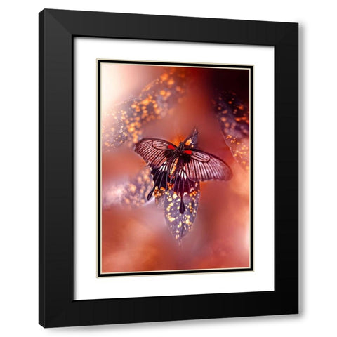 Hearts on Fire Black Modern Wood Framed Art Print with Double Matting by Love Grams