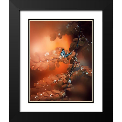 Orange Glow Black Modern Wood Framed Art Print with Double Matting by Love Grams
