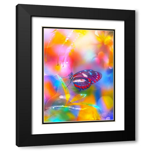 Rainbow Overlays Black Modern Wood Framed Art Print with Double Matting by Love Grams