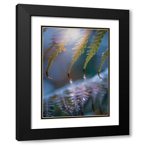 IMG_7584 Black Modern Wood Framed Art Print with Double Matting by Love Grams