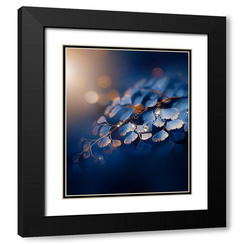 IMG_7585 Black Modern Wood Framed Art Print with Double Matting by Love Grams