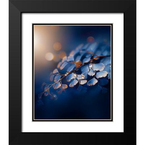 IMG_7585 Black Modern Wood Framed Art Print with Double Matting by Love Grams