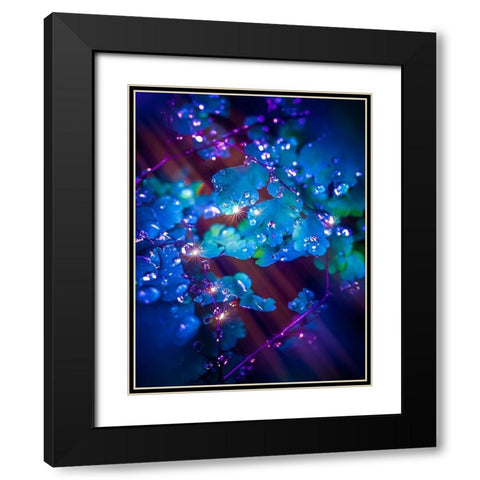 IMG_7586 Black Modern Wood Framed Art Print with Double Matting by Love Grams