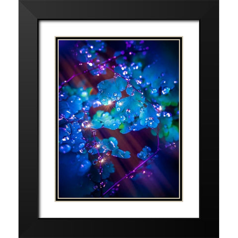 IMG_7586 Black Modern Wood Framed Art Print with Double Matting by Love Grams