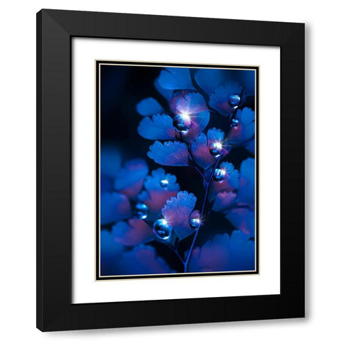 IMG_7587 Black Modern Wood Framed Art Print with Double Matting by Love Grams