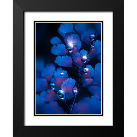 IMG_7587 Black Modern Wood Framed Art Print with Double Matting by Love Grams