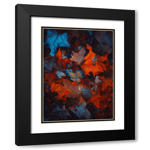 IMG_7592 Black Modern Wood Framed Art Print with Double Matting by Love Grams