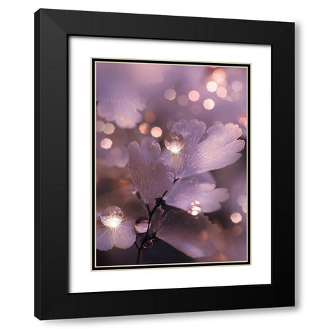 IMG_7594 Black Modern Wood Framed Art Print with Double Matting by Love Grams