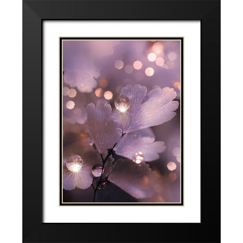 IMG_7594 Black Modern Wood Framed Art Print with Double Matting by Love Grams