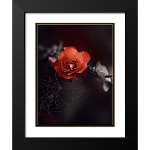 IMG_7596 Black Modern Wood Framed Art Print with Double Matting by Love Grams