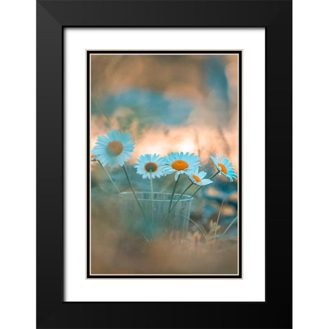 Blue Daisies Black Modern Wood Framed Art Print with Double Matting by Love Grams