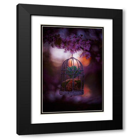 Caged at Dusk Black Modern Wood Framed Art Print with Double Matting by Love Grams