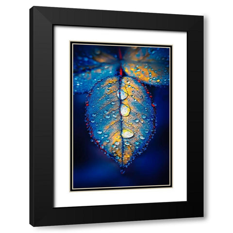 Drops of Jupiter Black Modern Wood Framed Art Print with Double Matting by Love Grams