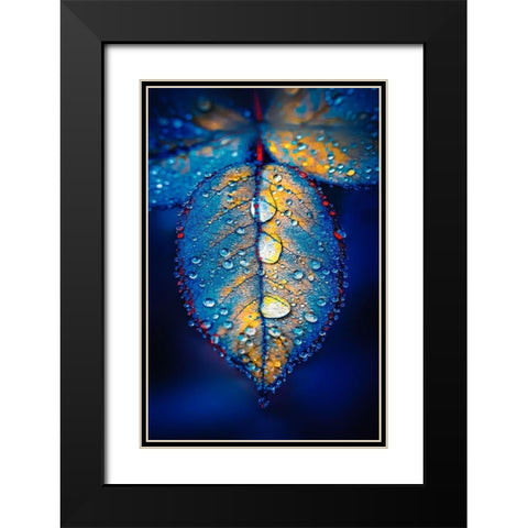 Drops of Jupiter Black Modern Wood Framed Art Print with Double Matting by Love Grams