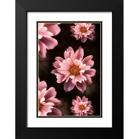 Floral Pattern Black Modern Wood Framed Art Print with Double Matting by Love Grams