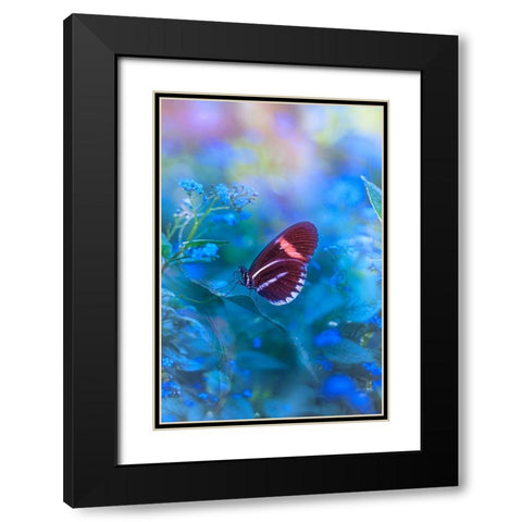 Forget Me Not Black Modern Wood Framed Art Print with Double Matting by Love Grams