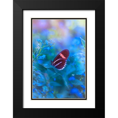 Forget Me Not Black Modern Wood Framed Art Print with Double Matting by Love Grams