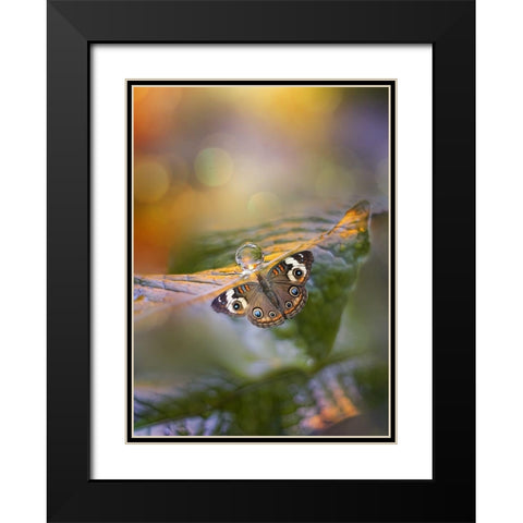 Green Haze Black Modern Wood Framed Art Print with Double Matting by Love Grams