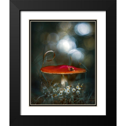 Mushroom Fantasy Black Modern Wood Framed Art Print with Double Matting by Love Grams