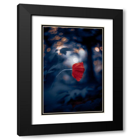 Night of the Poppy Black Modern Wood Framed Art Print with Double Matting by Love Grams