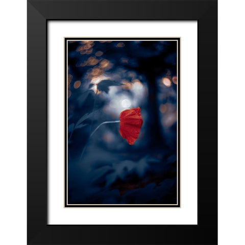 Night of the Poppy Black Modern Wood Framed Art Print with Double Matting by Love Grams