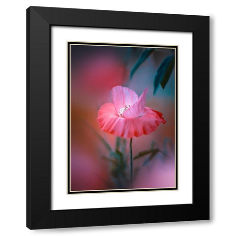 Summer Warmth Black Modern Wood Framed Art Print with Double Matting by Love Grams
