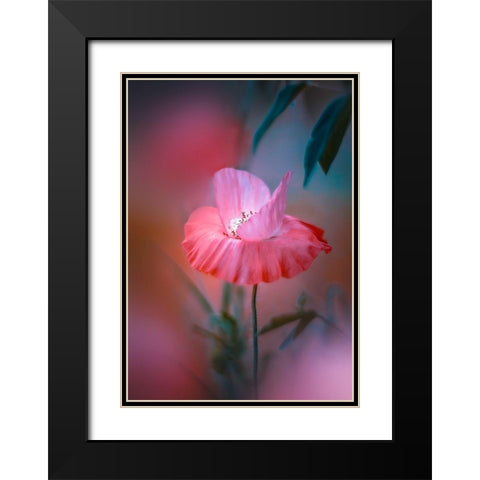 Summer Warmth Black Modern Wood Framed Art Print with Double Matting by Love Grams