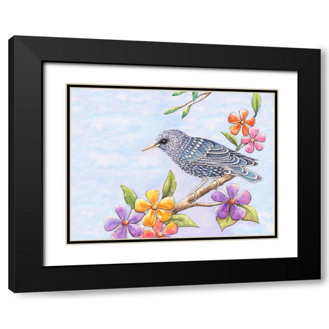 Starling Bird with Flowers Black Modern Wood Framed Art Print with Double Matting by Wickstrom, Martin