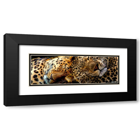 Two Sleepers Cheetahs Black Modern Wood Framed Art Print with Double Matting by Murray Henderson Fine Art