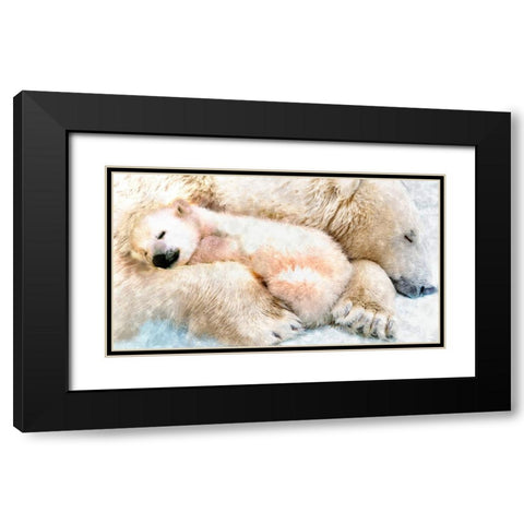 Polar Sleep Black Modern Wood Framed Art Print with Double Matting by Murray Henderson Fine Art