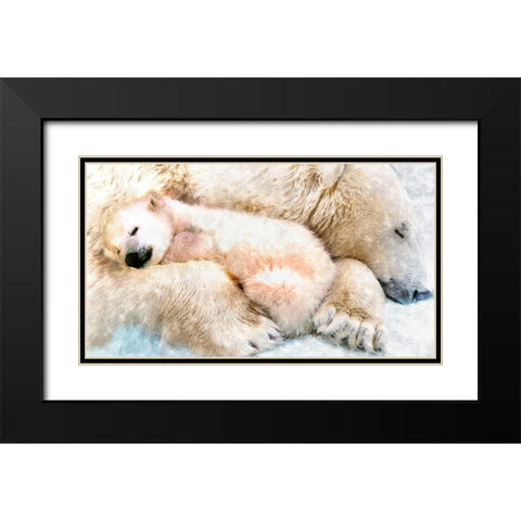 Polar Sleep Black Modern Wood Framed Art Print with Double Matting by Murray Henderson Fine Art
