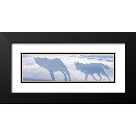 Wolf Pack Shadows Black Modern Wood Framed Art Print with Double Matting by Murray Henderson Fine Art