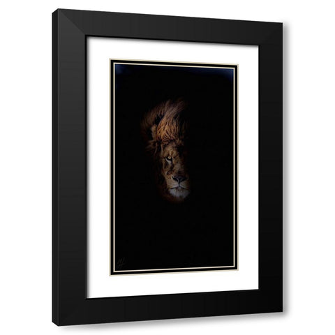 Lion Black Modern Wood Framed Art Print with Double Matting by Murray Henderson Fine Art