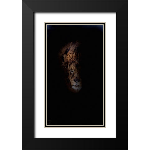 Lion Black Modern Wood Framed Art Print with Double Matting by Murray Henderson Fine Art