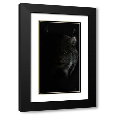 Lynx Stare Black Modern Wood Framed Art Print with Double Matting by Murray Henderson Fine Art