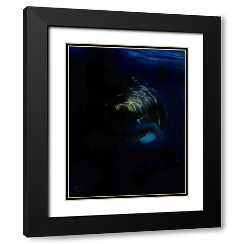 Shark Shadows (1) Black Modern Wood Framed Art Print with Double Matting by Murray Henderson Fine Art