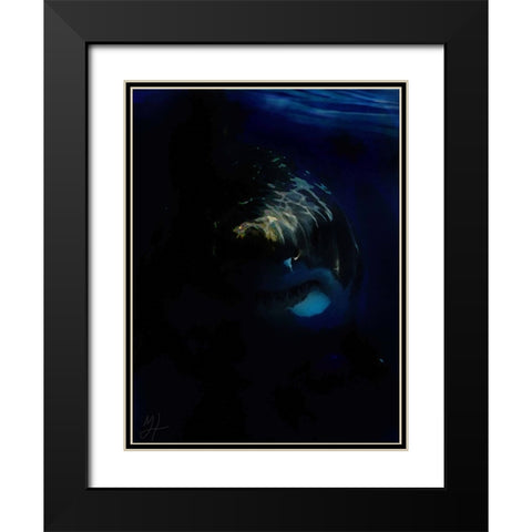 Shark Shadows (1) Black Modern Wood Framed Art Print with Double Matting by Murray Henderson Fine Art