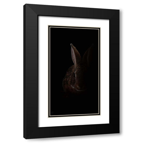 Wabbit Black Modern Wood Framed Art Print with Double Matting by Murray Henderson Fine Art