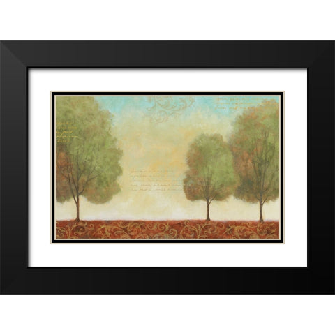 Beautiful Day I Black Modern Wood Framed Art Print with Double Matting by Zaccheo, John