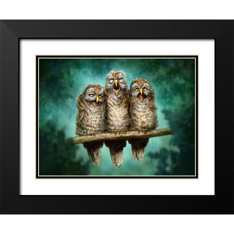 One Hoot Wonders Black Modern Wood Framed Art Print with Double Matting by LaMontagne, Patrick