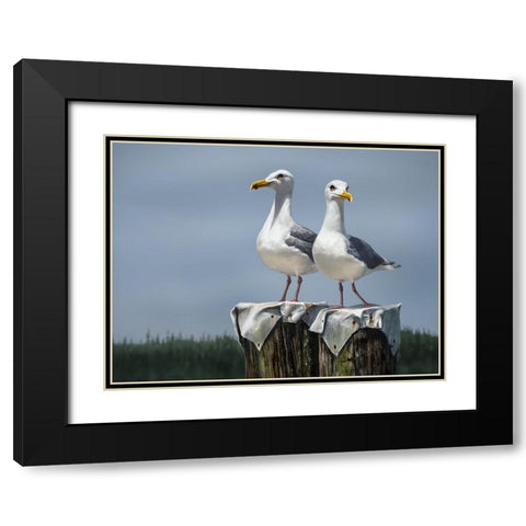 Ukee Locals Black Modern Wood Framed Art Print with Double Matting by LaMontagne, Patrick